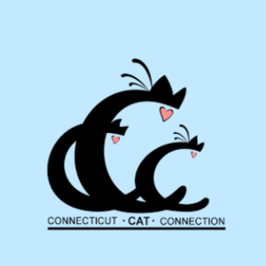 Paws, Purrs and Love